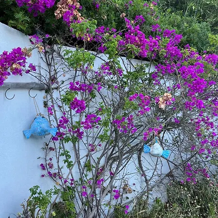 Villa Pleine Vue La Seyne-sur-Mer