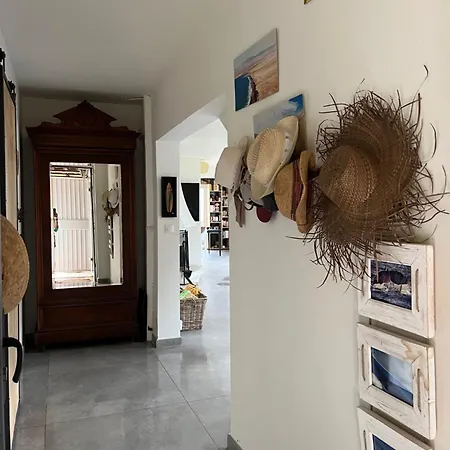 Pleine Vue فيلة لا سين سور مير