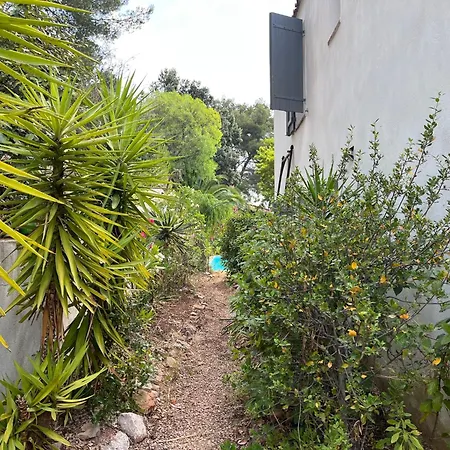فيلة Pleine Vue