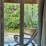 Pleine Vue